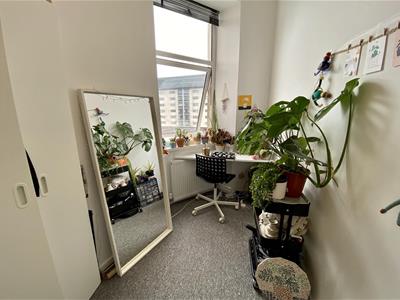 Picture 14